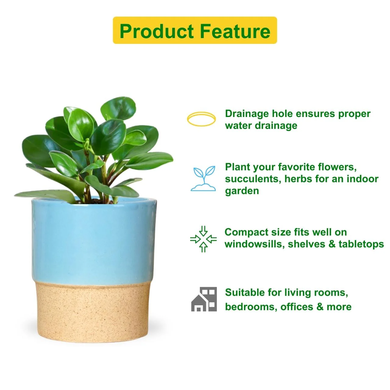 Ceramic Plant Pot - Image 4