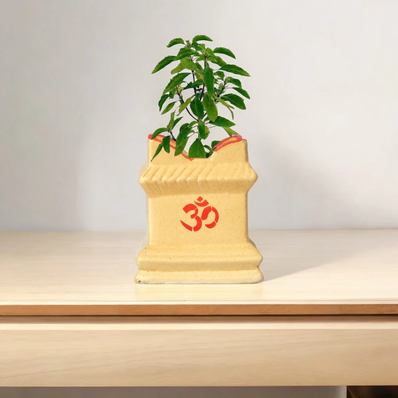 Ceramic Tulsi Plant Pot - Image 7