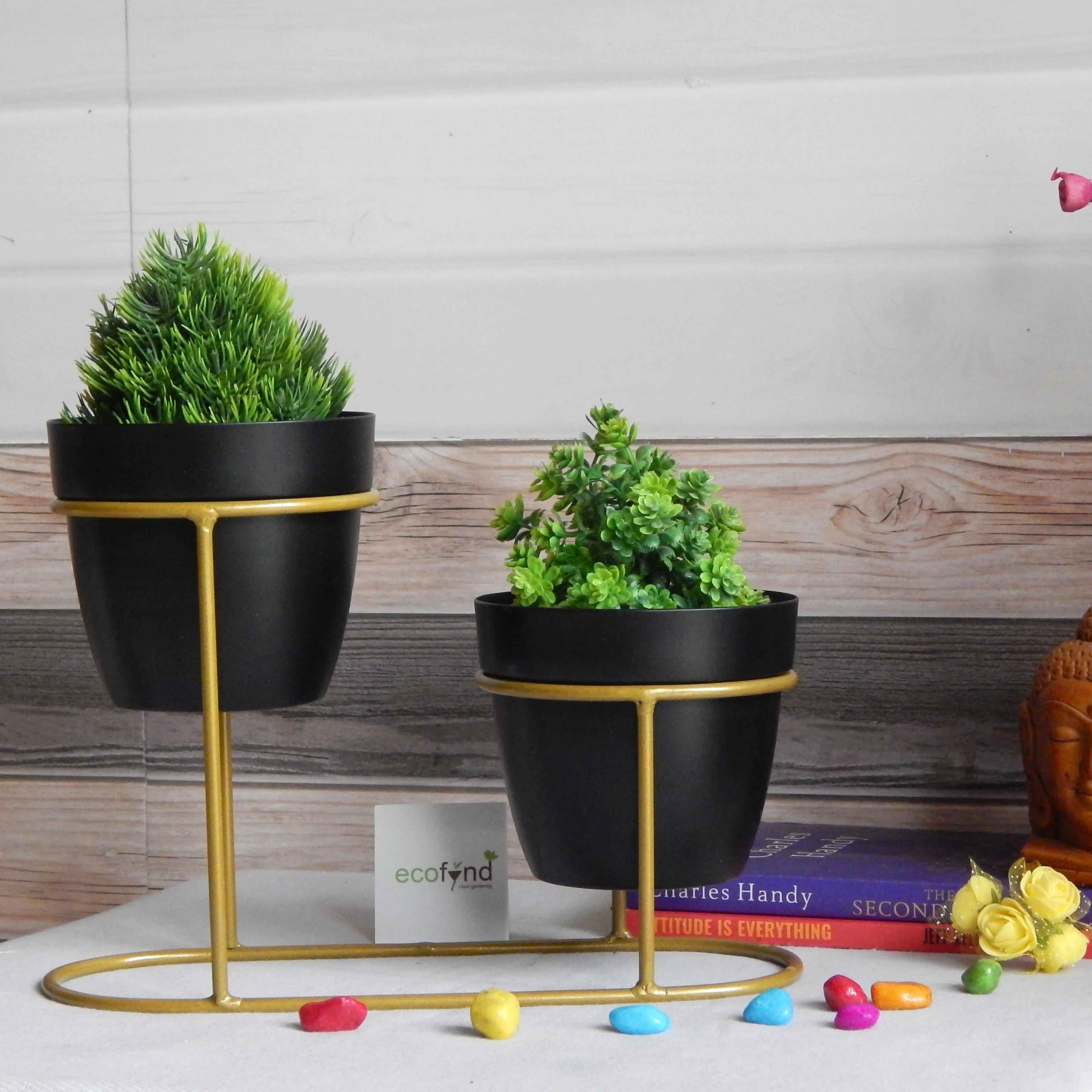 Chloe Black Pot with Stand - Image 3