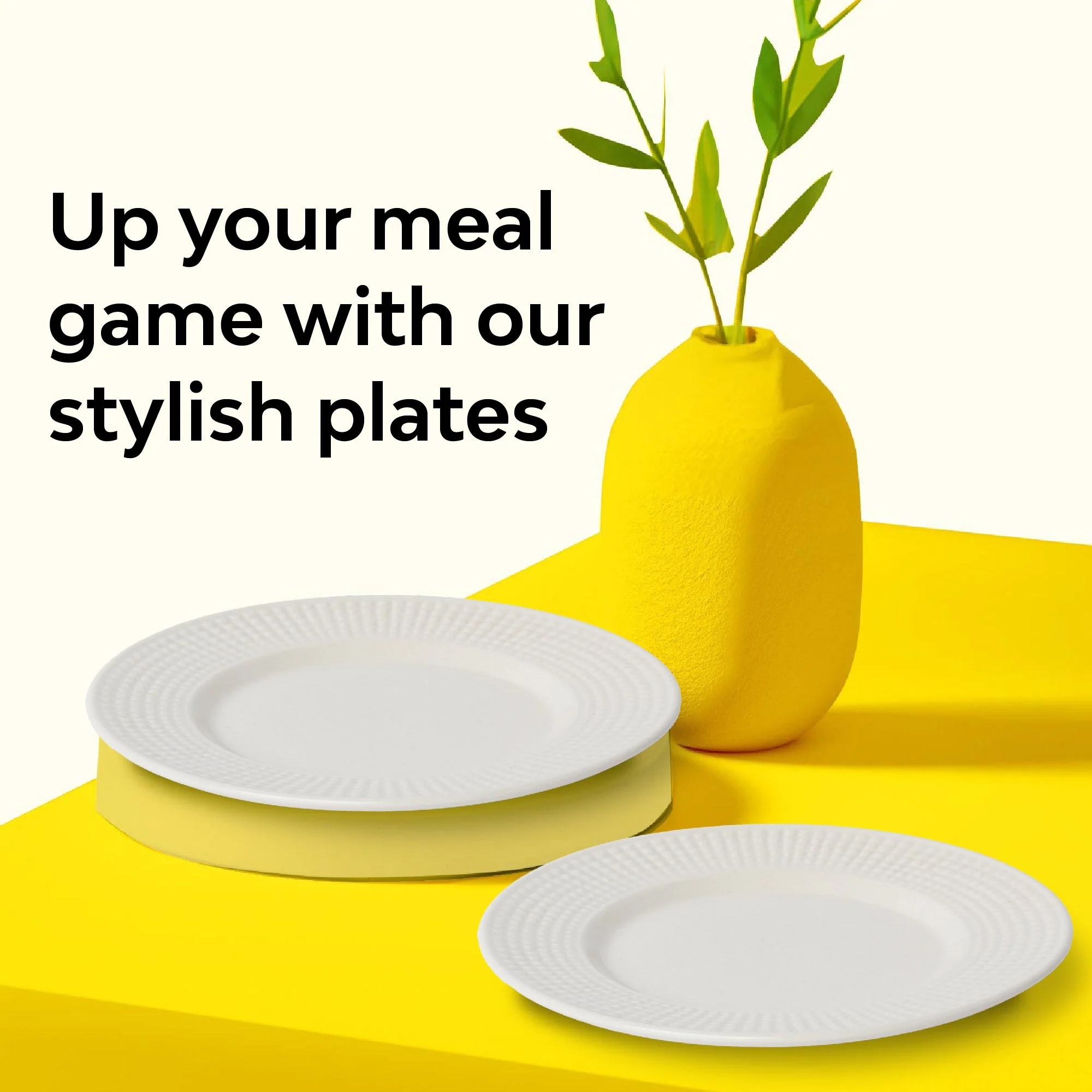 Classic Ceramic Dinner Plate | Set Of 2 - Image 13