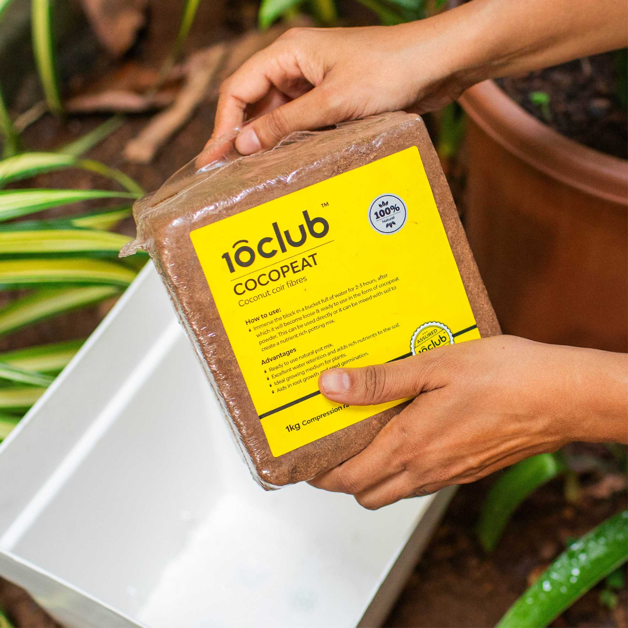 Cocopeat | Organic Fertilizer - Image 14