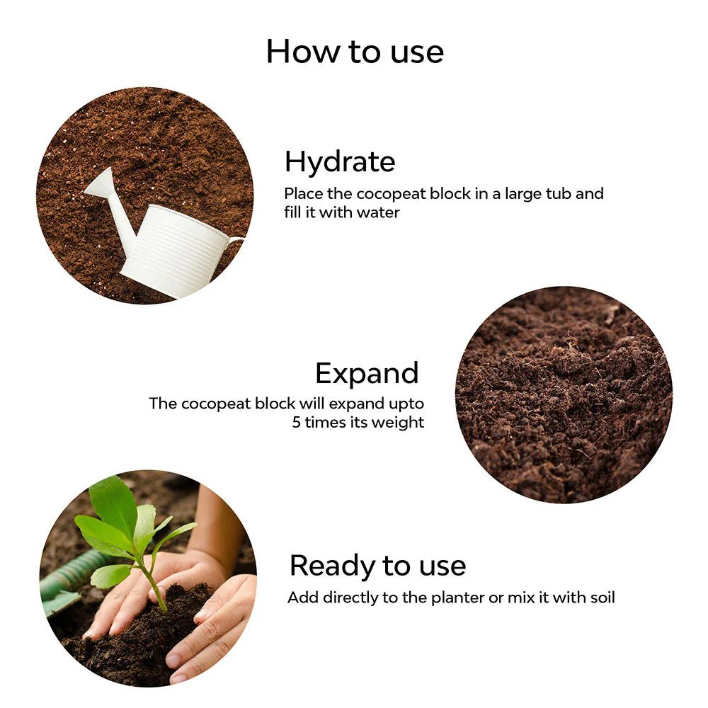 Cocopeat | Organic Fertilizer - Image 8