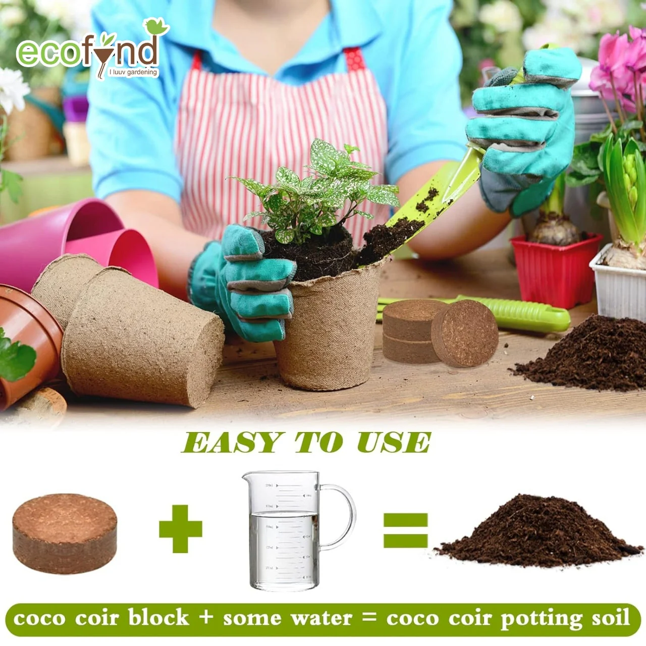 Coir Seedling Coin - Image 3