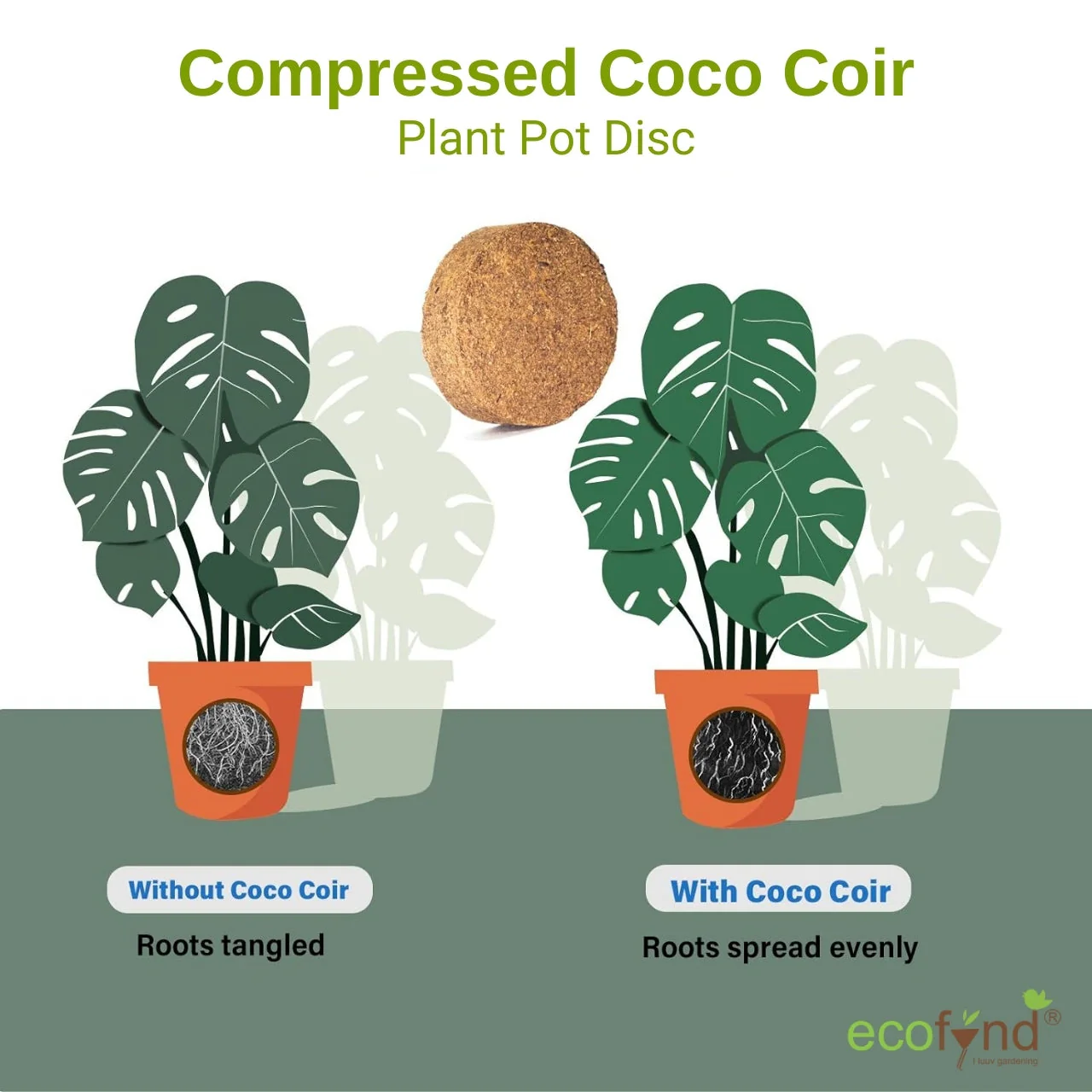 Coir Seedling Coin - Image 4