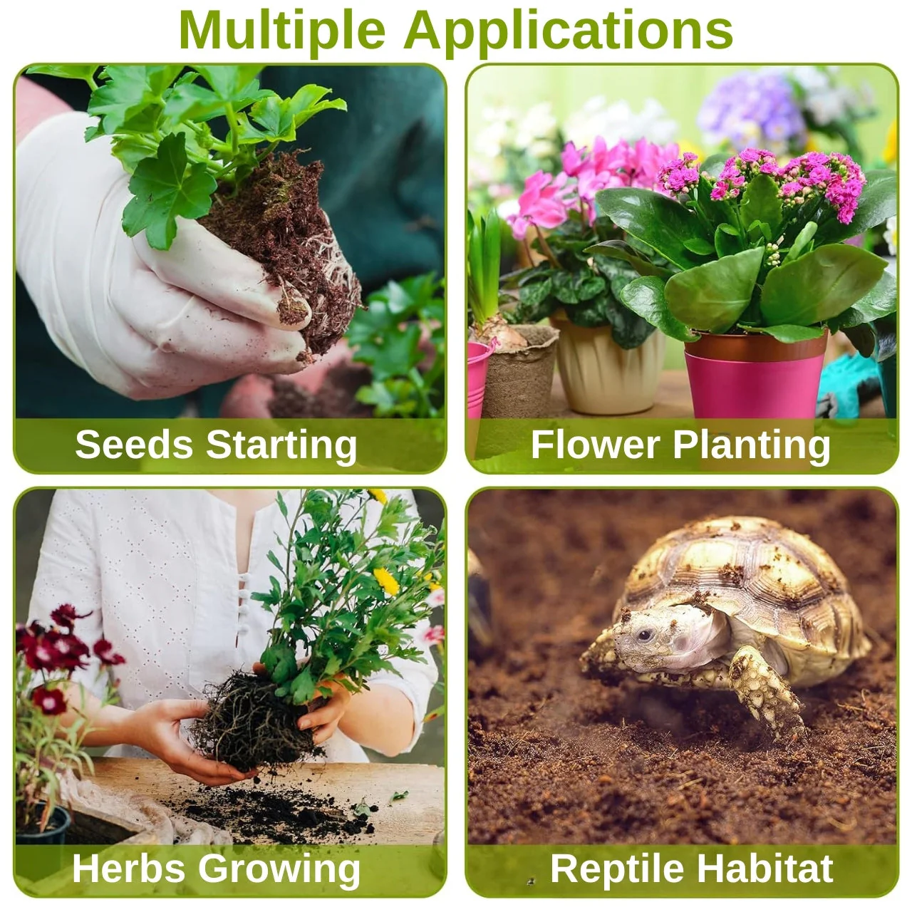 Coir Seedling Coin - Image 6