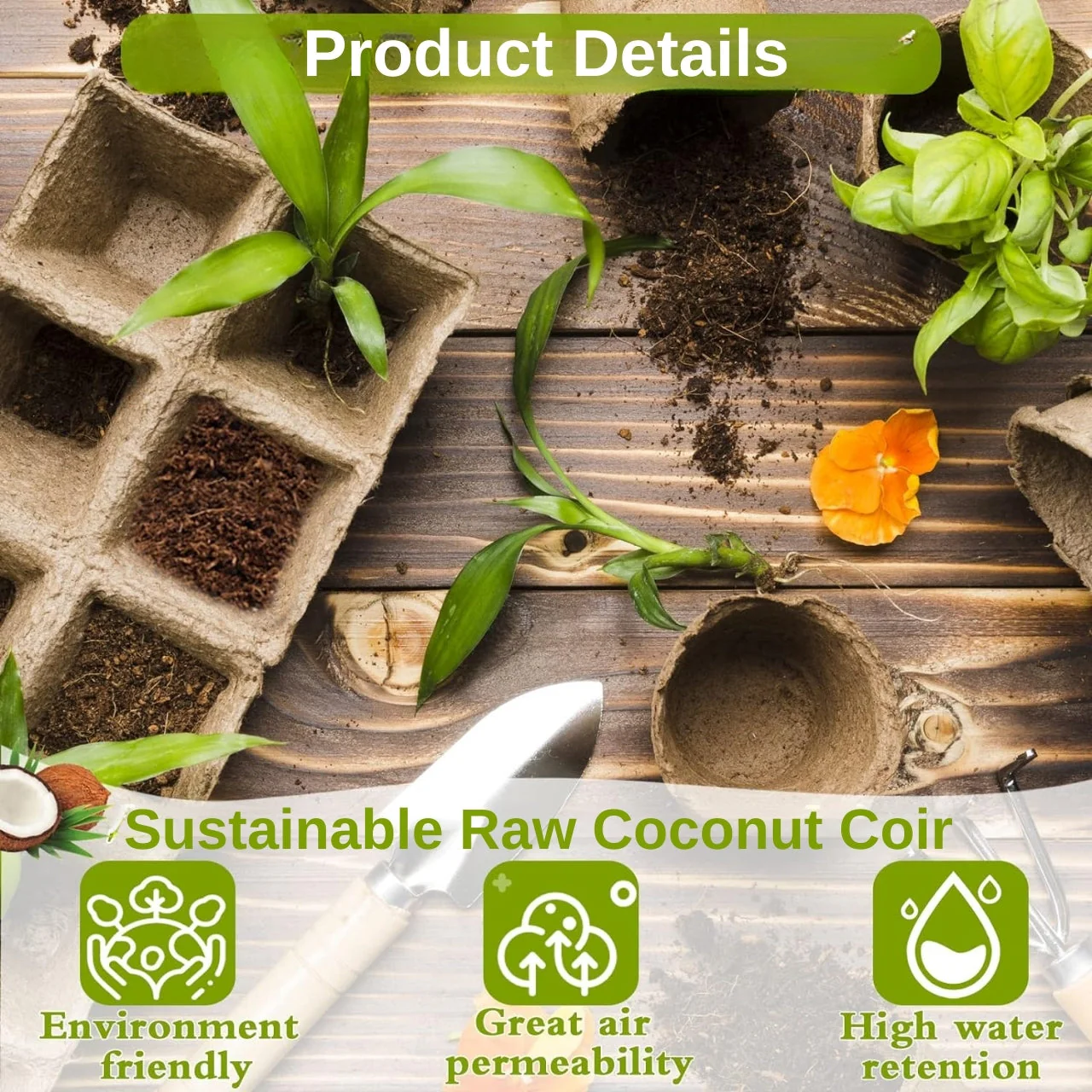 Coir Seedling Coin - Image 5
