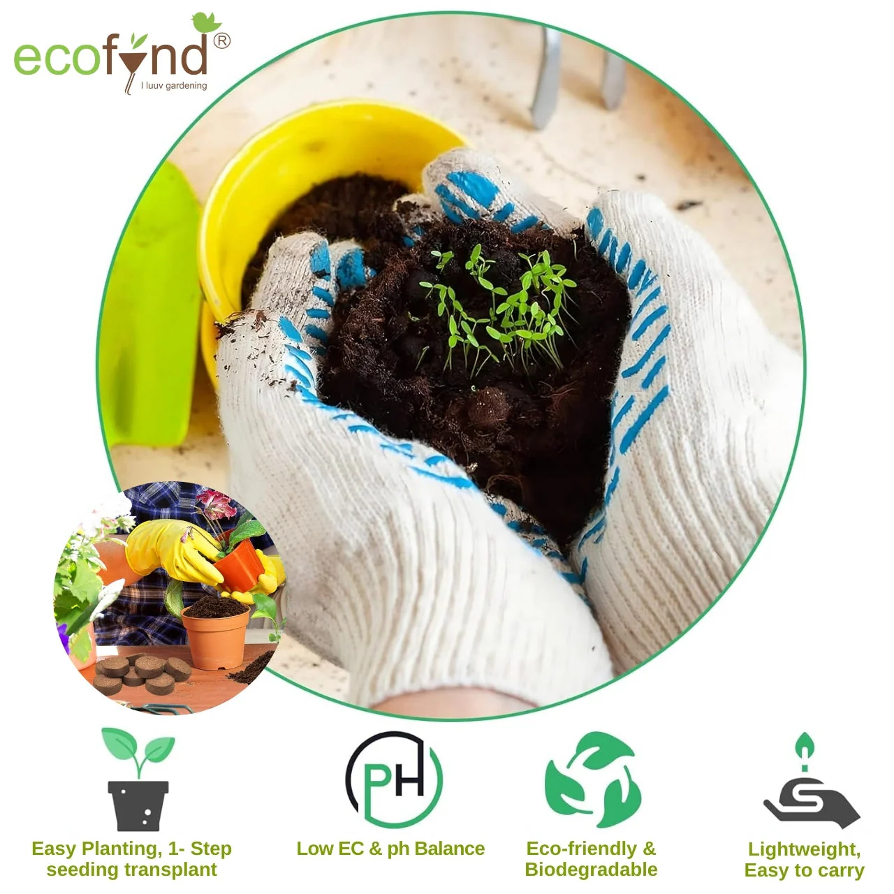 Coir Seedling Coin - Image 7