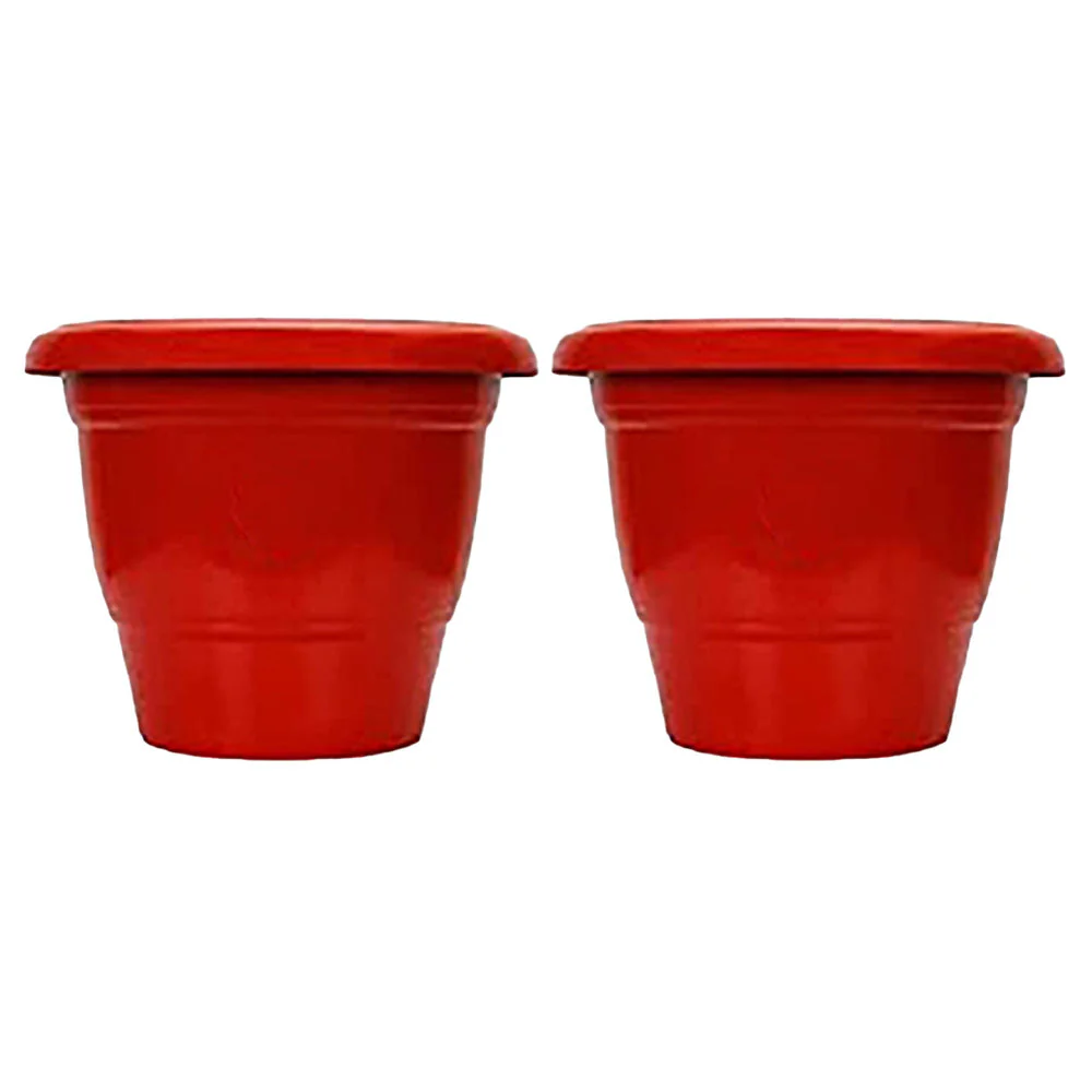 Coloured Garden Pots | Set Of 2