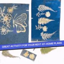 COMBO : DIY Handmade Paper Kit & DIY Solar Printing Kit - Image 8