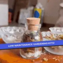 COMBO : DIY Mini Terrarium Kit & DIY Japanese Kokedama Kit - Image 8