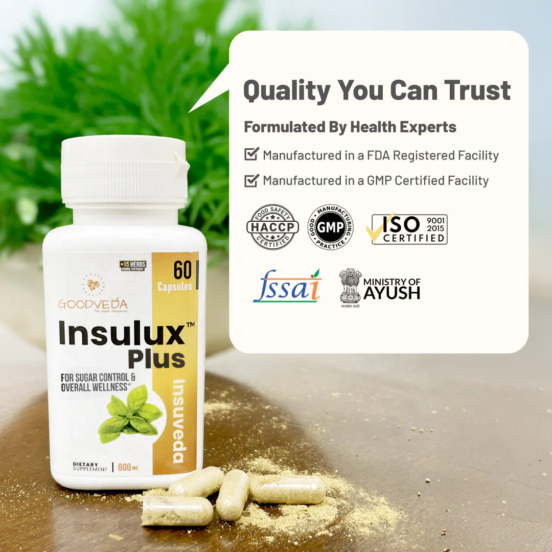 Control Diabetes Naturally: Insulux Plus & Dia Amrit Combo for Balanced Blood Sugar - Image 7