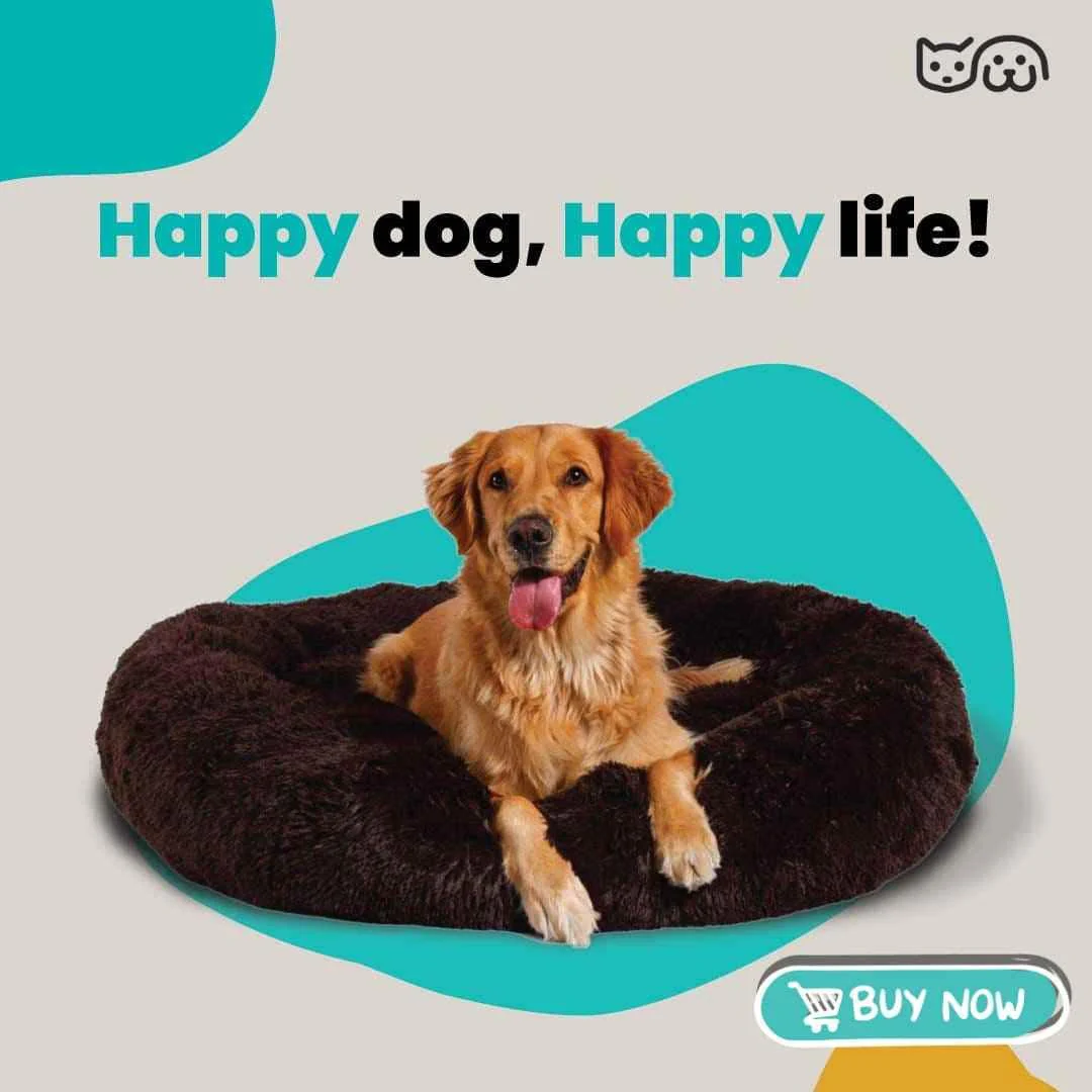 Cozy Comfort Bed – All-Season Comfort for Dogs & Cats - Image 13