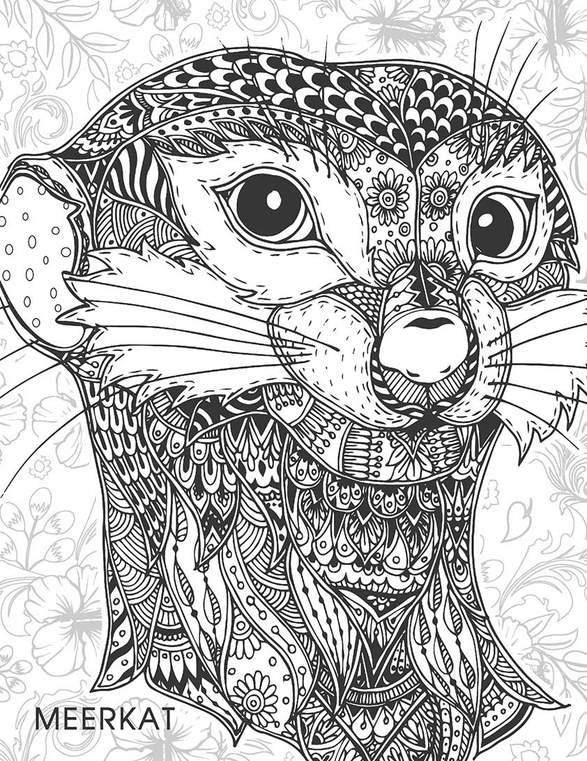 Creative Doodle Colouring Books - (2 Titles) - Image 4