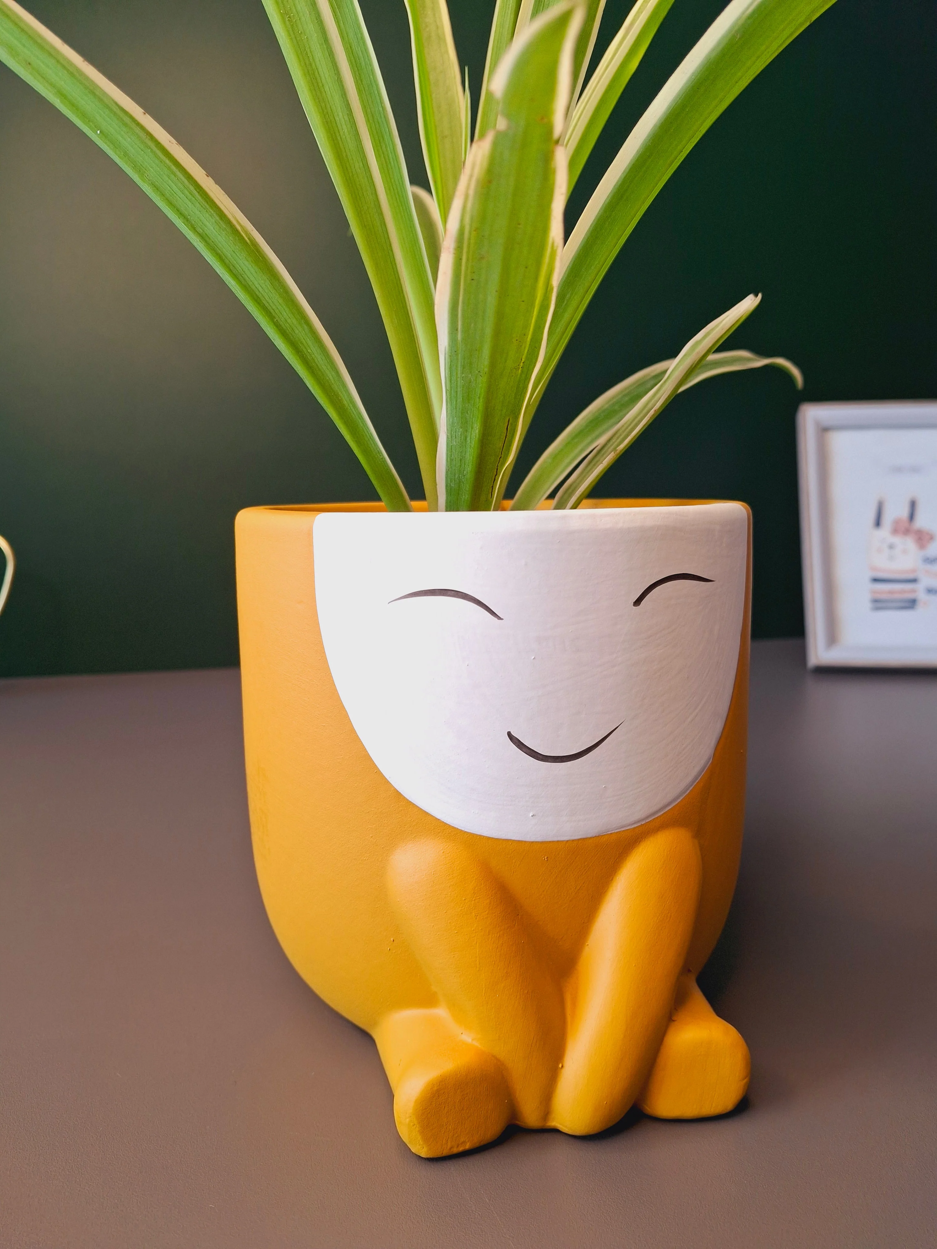 Cute Face Ceramic Flower Pot - Image 14