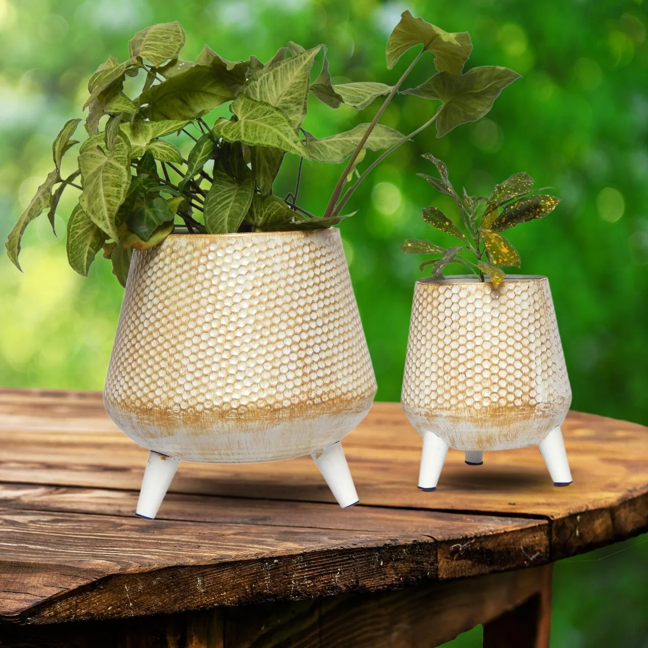 Daisy White Iron Planter Stand Set – Indoor & Outdoor Décor - Image 7