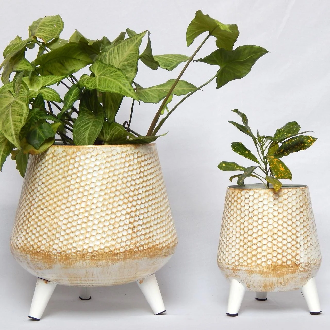 Daisy White Iron Planter Stand Set – Indoor & Outdoor Décor - Image 8