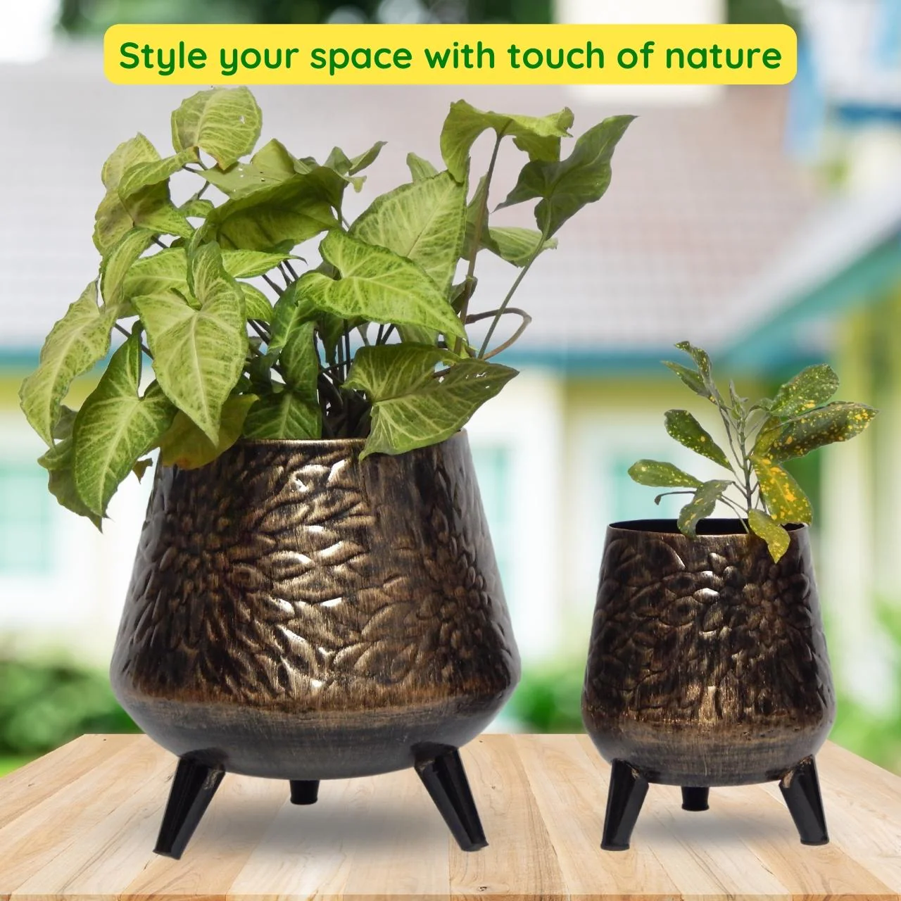 Dark Charcoal Iron Planter Stand Set – Indoor & Outdoor Décor - Image 5