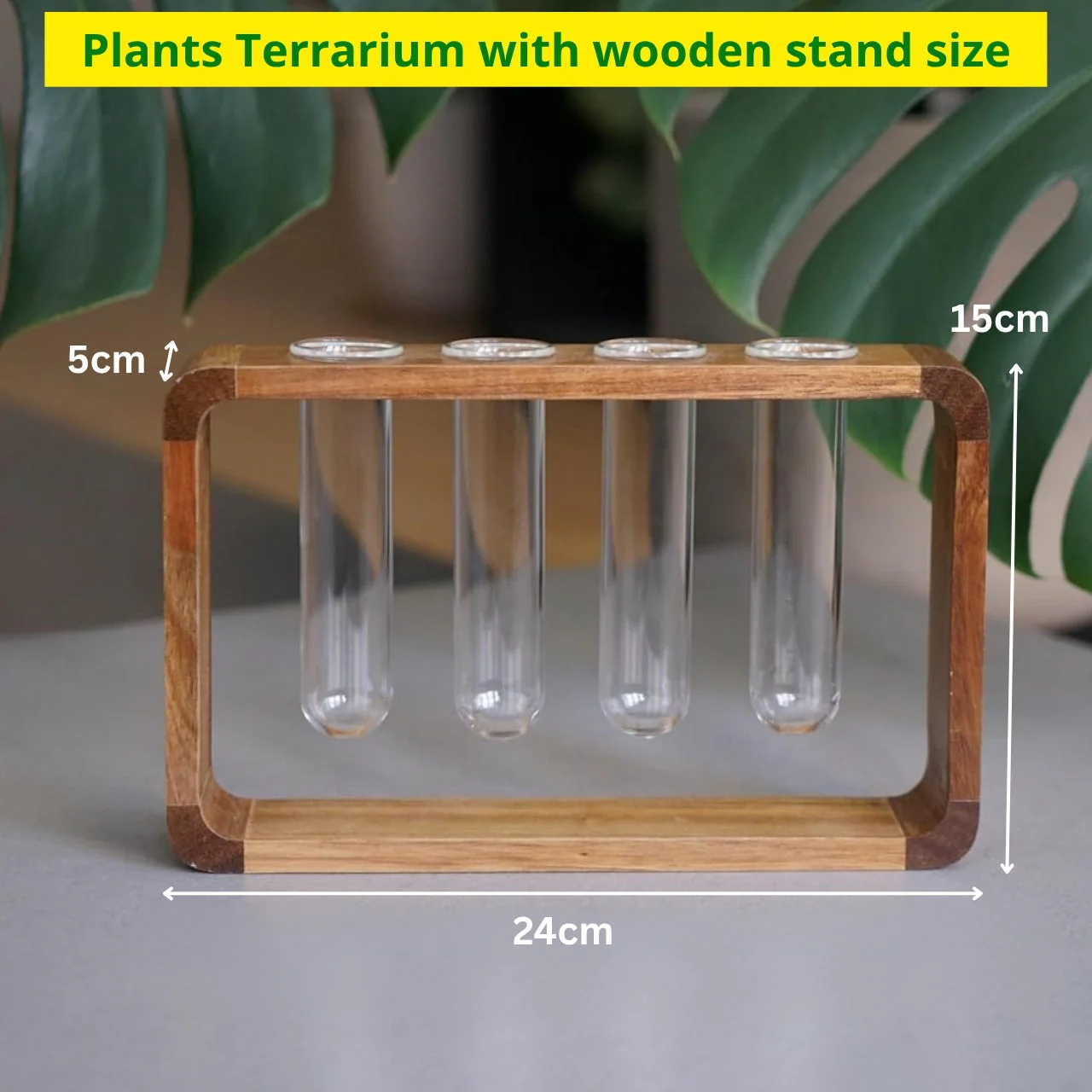 Decorative Wooden Frame Test Tube Planter – Minimal Hydroponic Display - Image 2