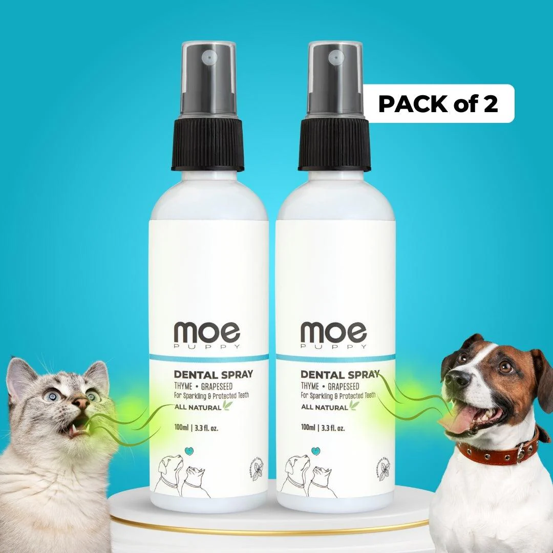 Dental Spray for Dogs & Cats - Image 9