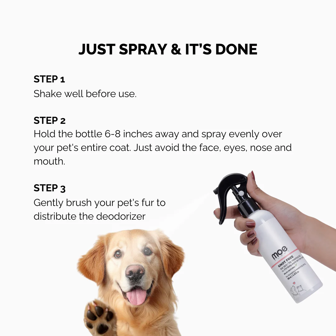 Deodorizer & Detangler Spray for Dogs and Cats - Image 4