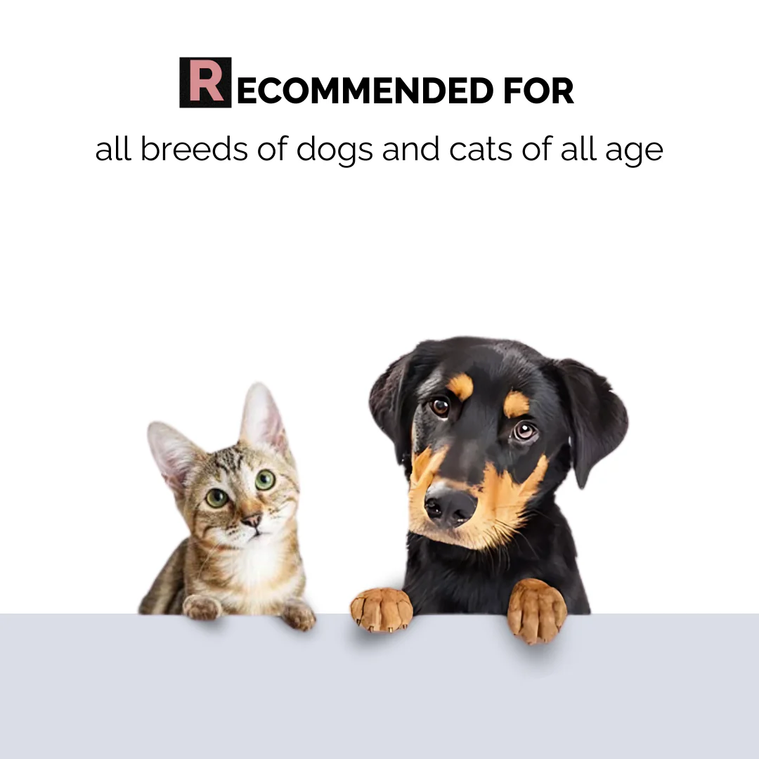 Deodorizer & Detangler Spray for Dogs and Cats - Image 5