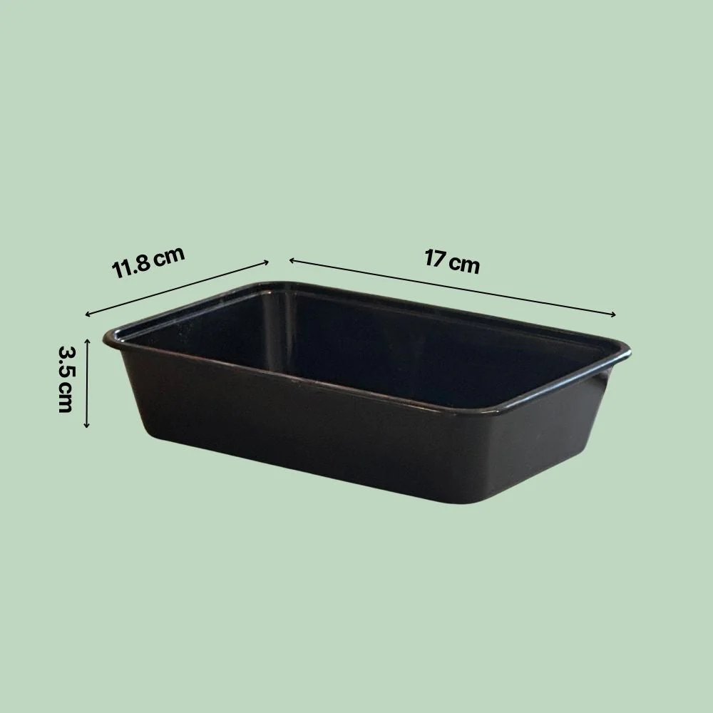 DIY Microgreens Kit - Image 5