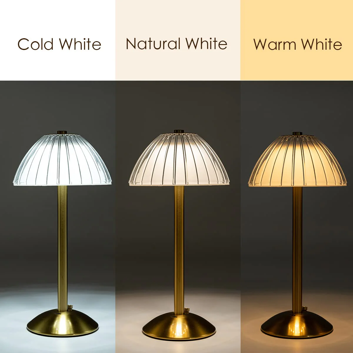 Domiq: Cordless Rechargeable LED Table Lamp, Touch Dimmer, Soft Glow, Portable for Dining, Bedroom, Desk & Outdoor Use - Image 2