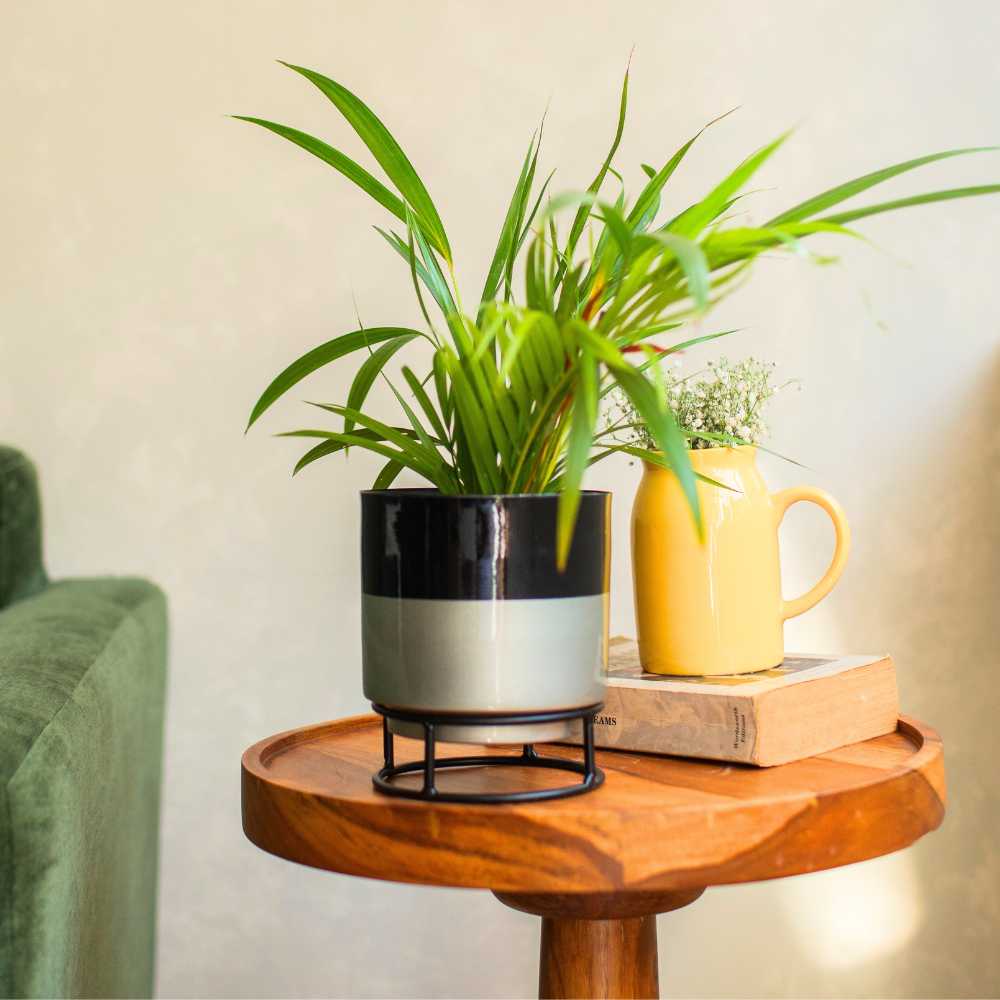 Dual Tone Metal Planter - Image 2