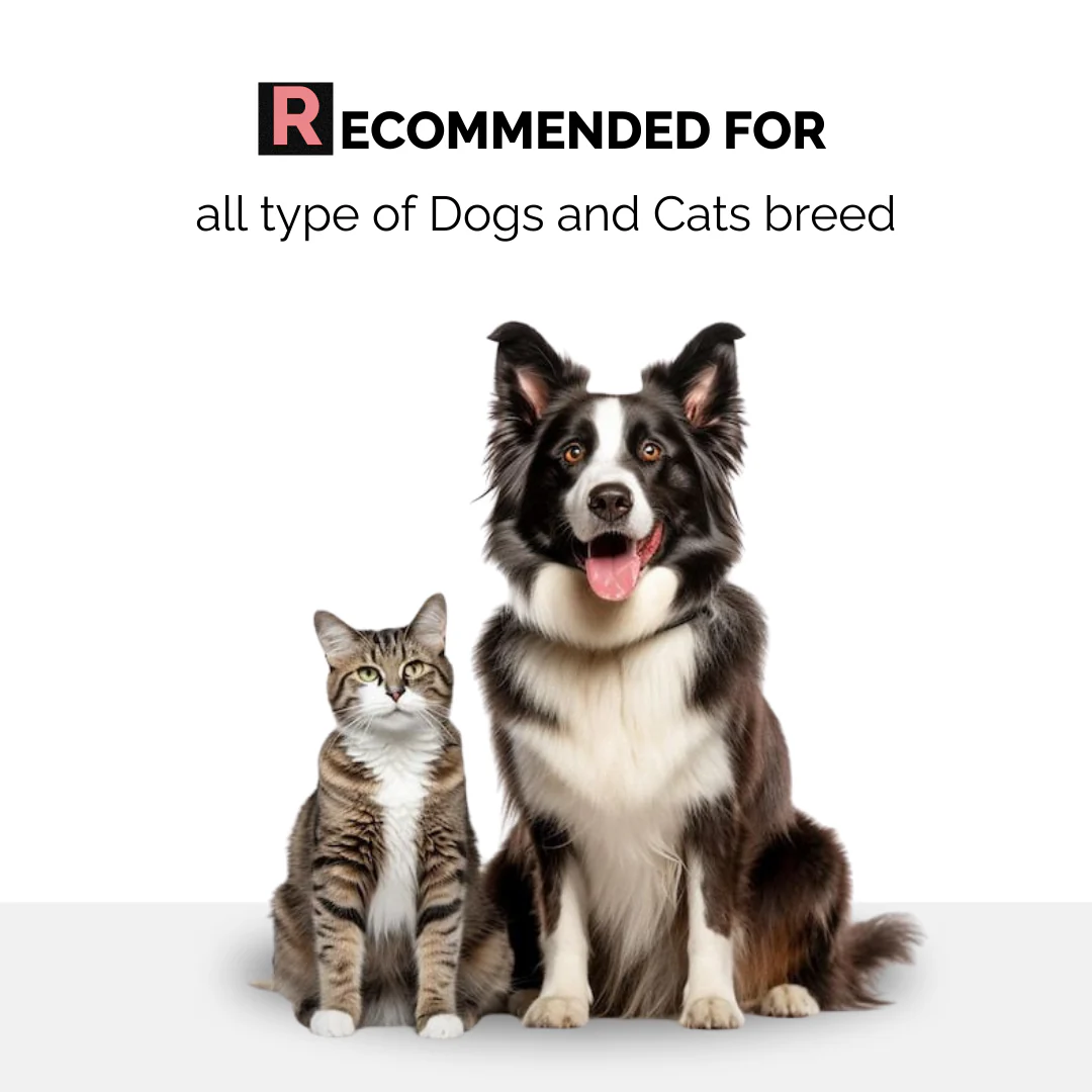 Ear Care+ for Dogs & Cats - Image 5