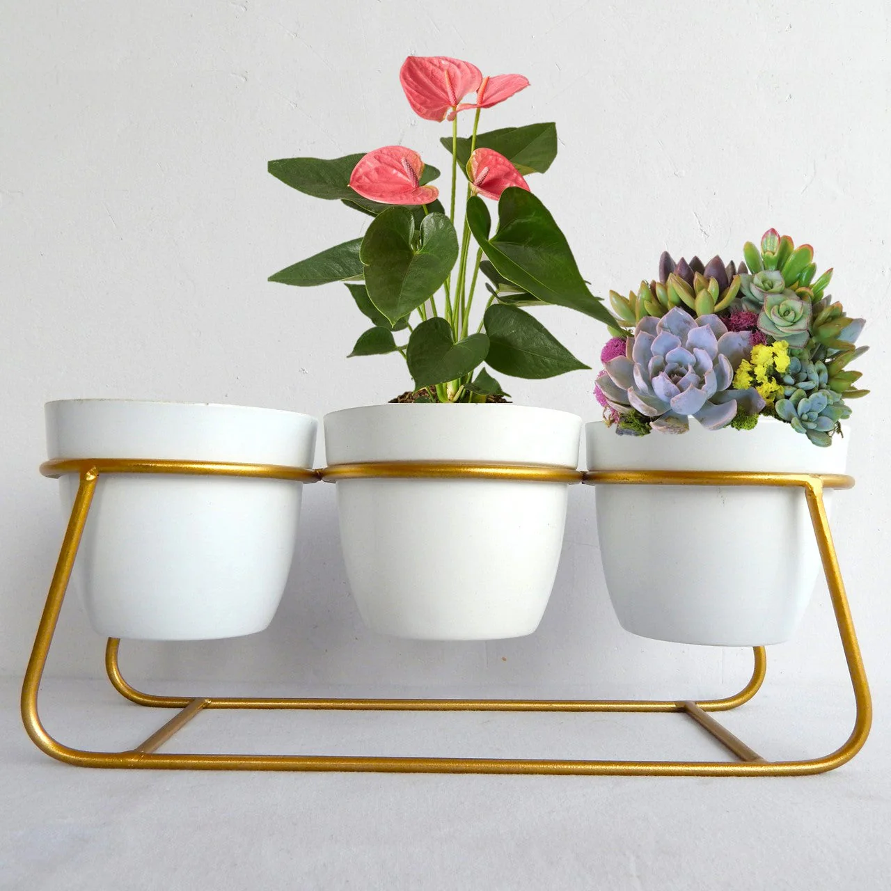 Ecofynd Bella White Metal Plant Pot with Gold Stand – Modern Indoor Decor Planter - Image 3