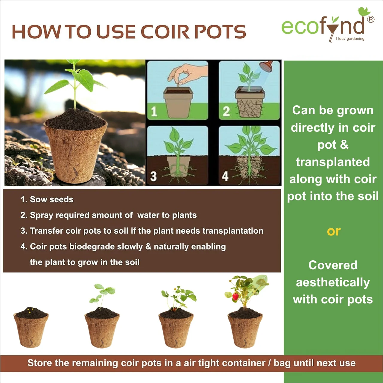 Ecofynd Coco Coir Pots 4 Inch – Plastic-Free Plant Containers for Herbs, Flowers & Seed Starters - Image 3