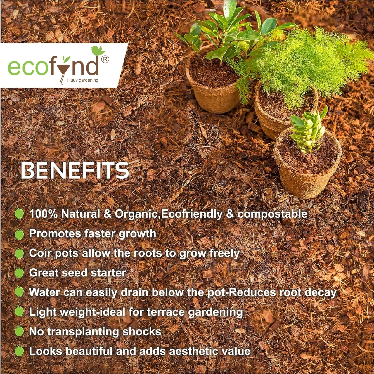 Ecofynd Coco Coir Pots 4 Inch – Plastic-Free Plant Containers for Herbs, Flowers & Seed Starters - Image 4