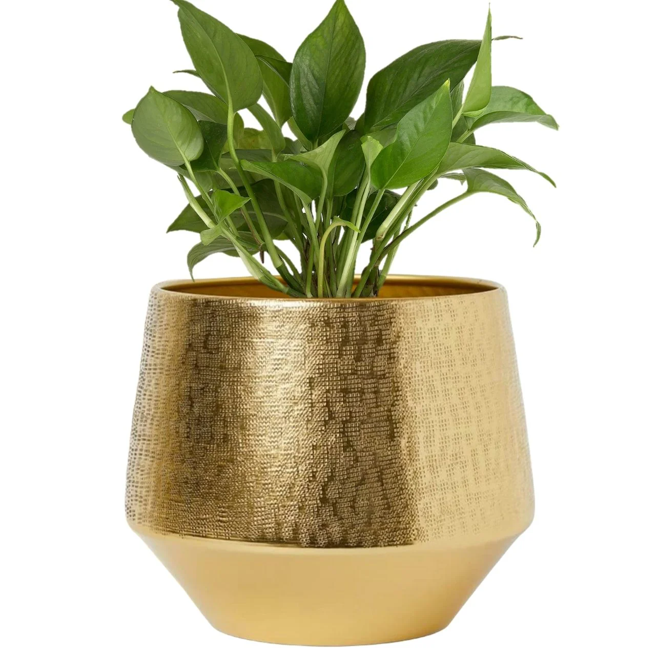 Eion Jr Gold Metal Plant Pot - Image 2