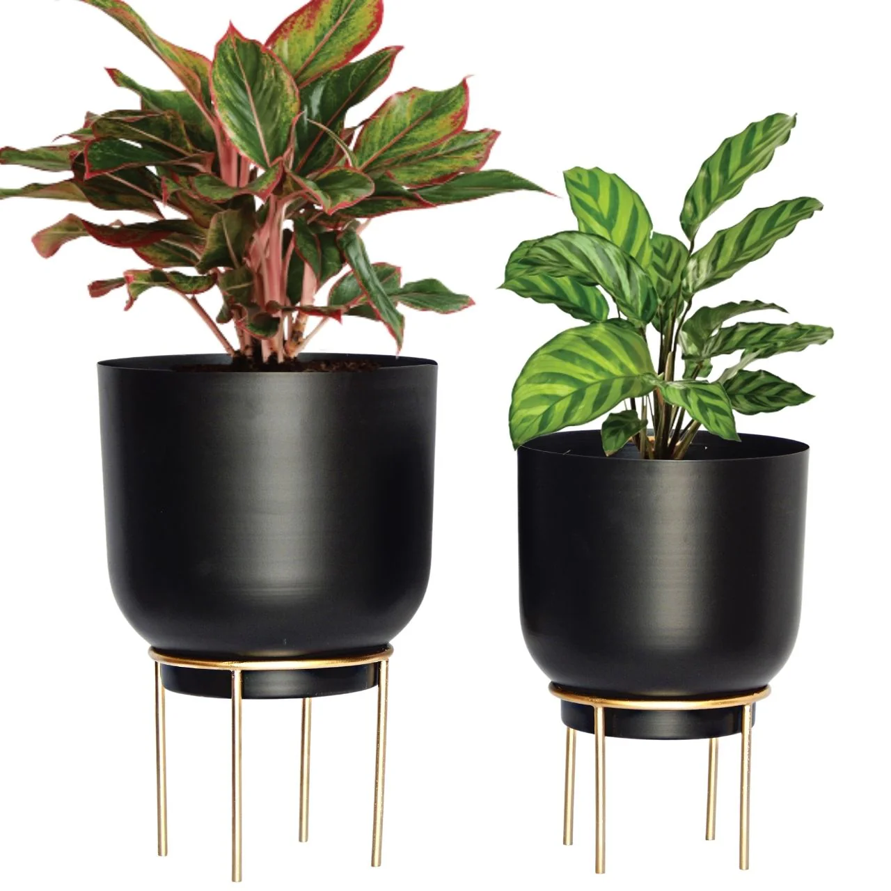 Eva Black Metal Plant Pot with Stand (Set of 2) - Image 2