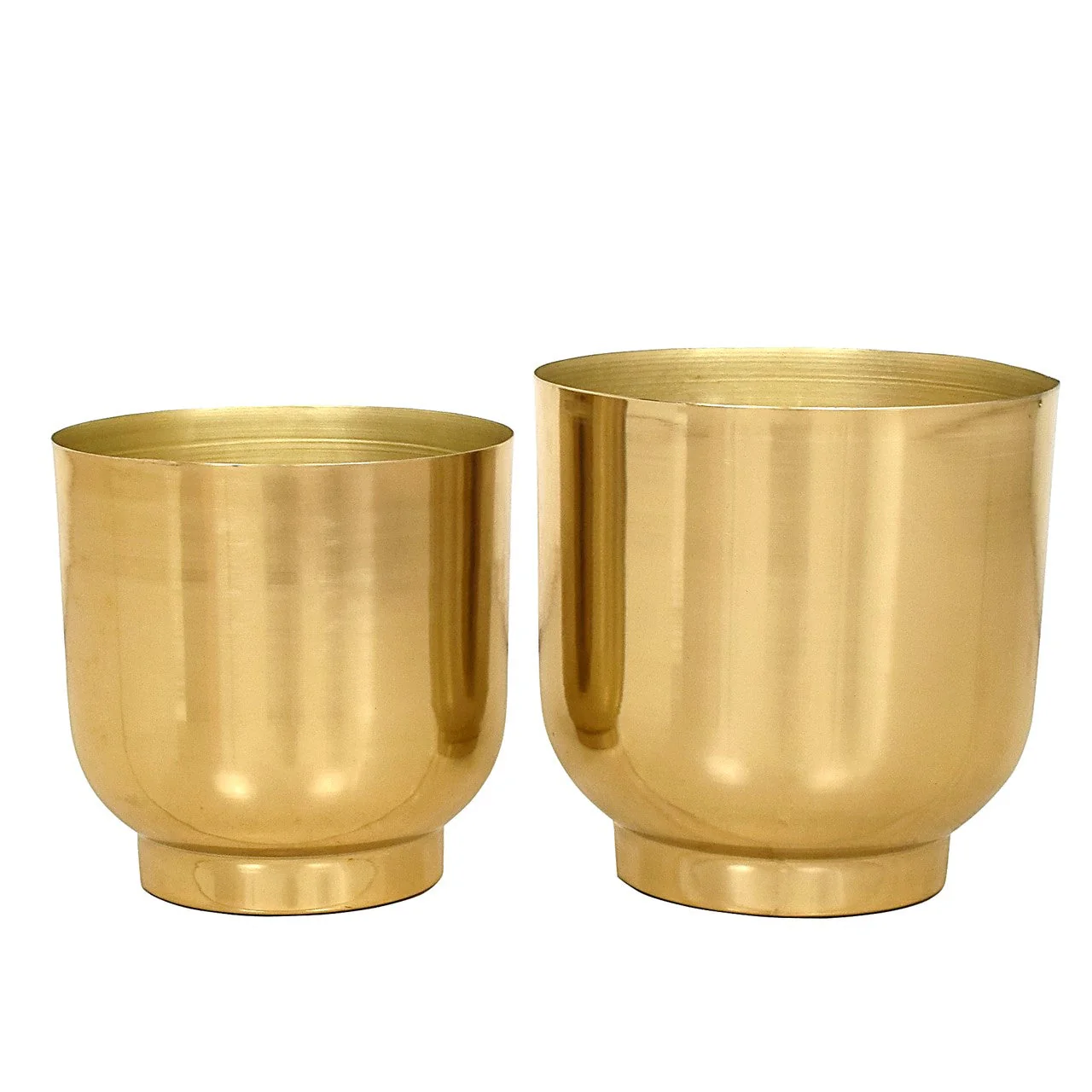 Eva Luxe – Gold Metal Elegance for Your Plants - Image 4