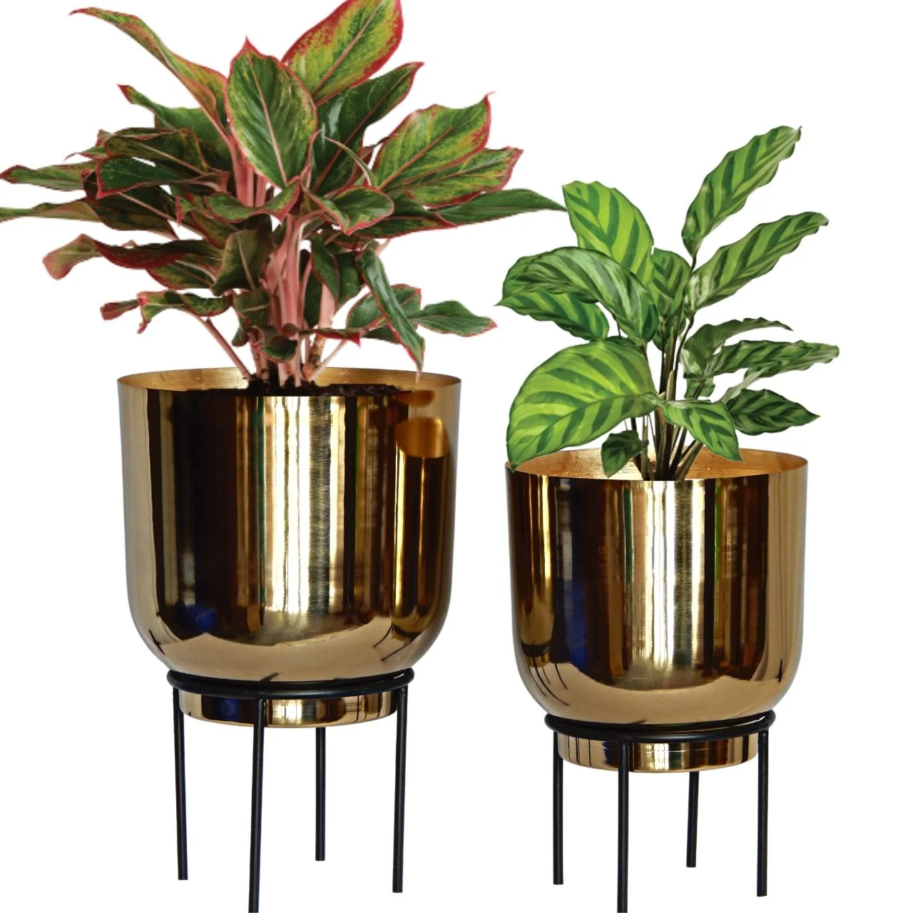 Eva Metal Plant Pot with Stand - Image 2