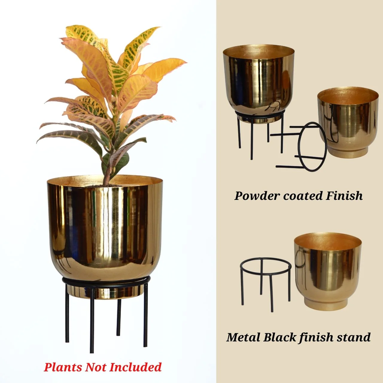 Eva Metal Plant Pot with Stand - Image 4
