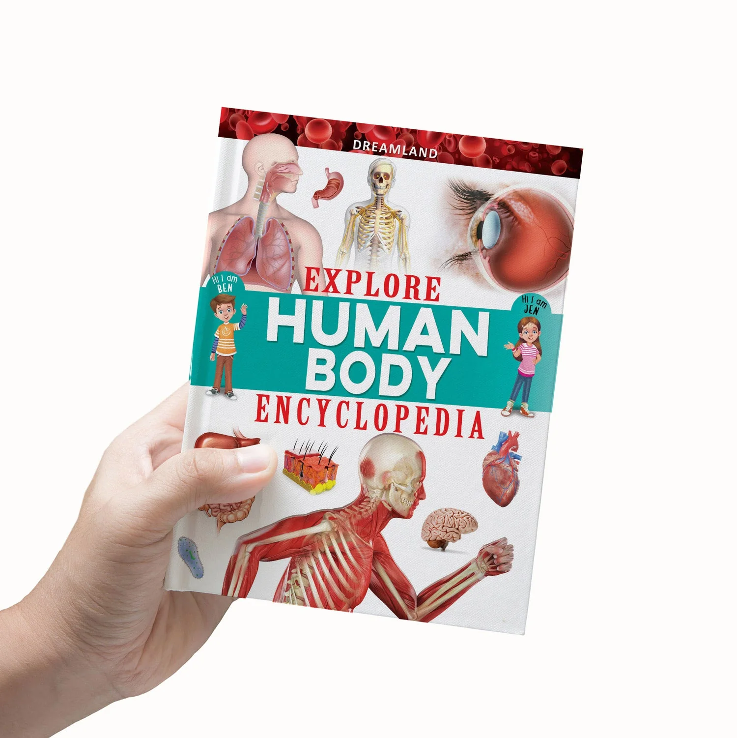 Explore Human Body Encyclopedia - Image 4