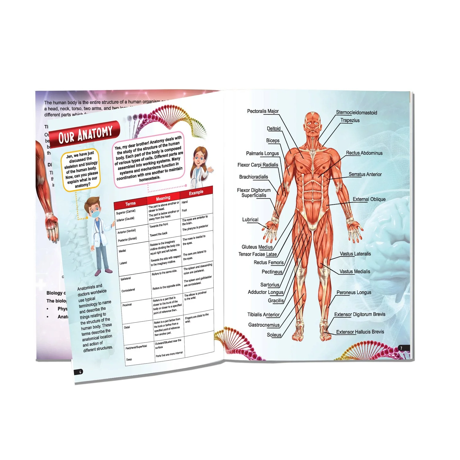 Explore Human Body Encyclopedia - Image 5