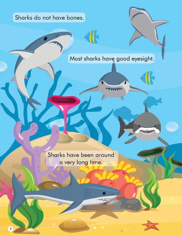 Explore the Sea Activity Book with Stickers and 3D Models - Image 2
