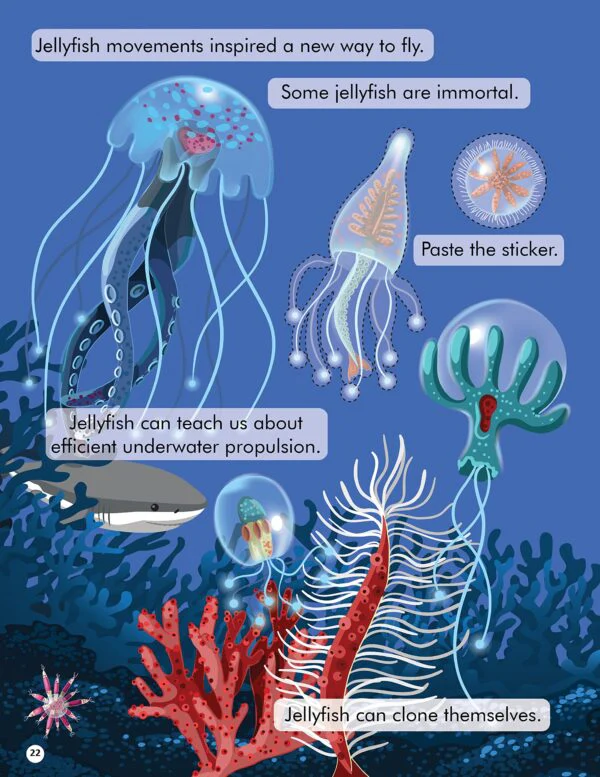 Explore the Sea Activity Book with Stickers and 3D Models - Image 6