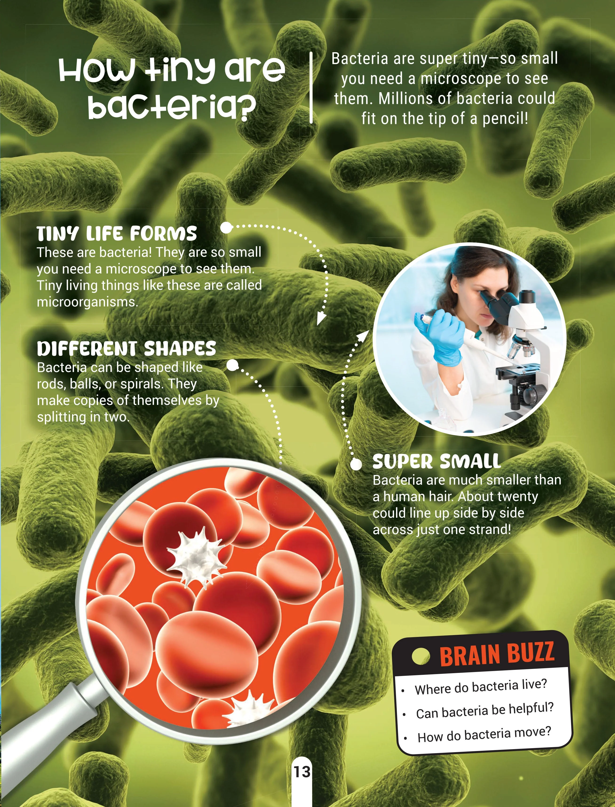 Factopedia Science Scoop: Incredible Science Facts for Kids Age 6+ - Image 11