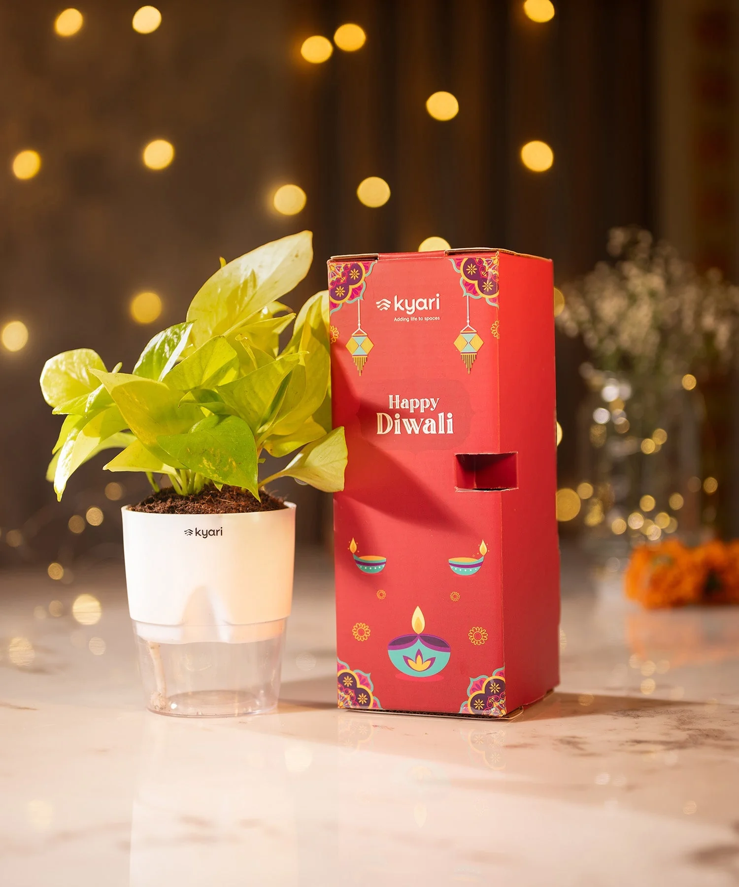 Festive Gleam Hamper - Image 247