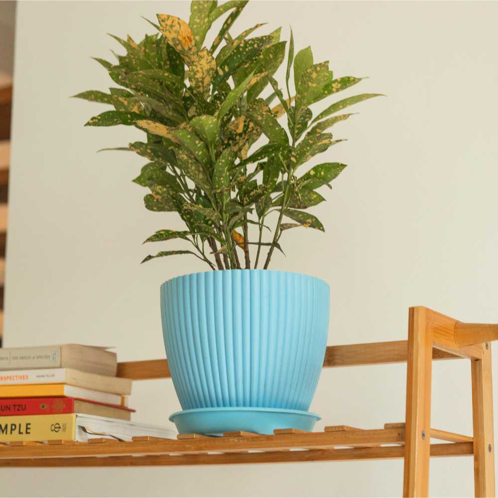 Fluted Dome Plastic Pot With Tray | Set Of 5 - Image 4