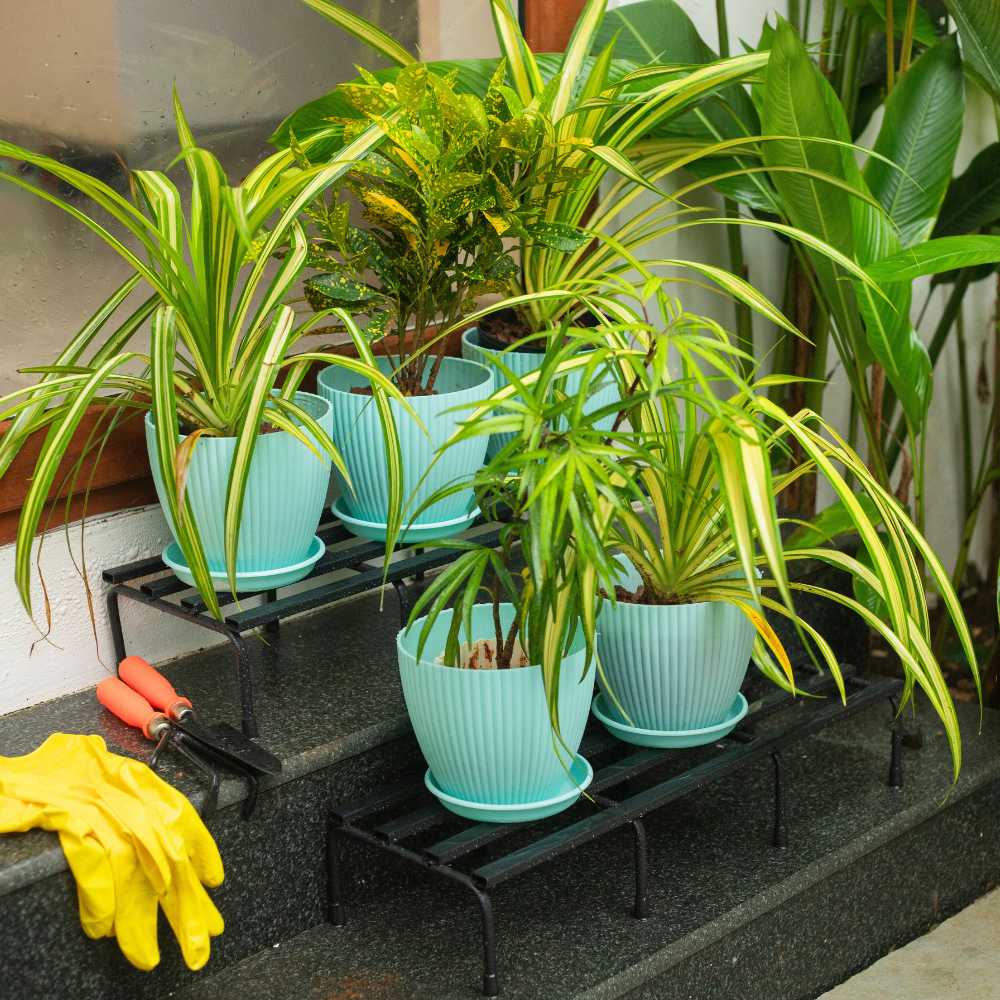 Fluted Dome Plastic Pot With Tray | Set Of 5 - Image 5