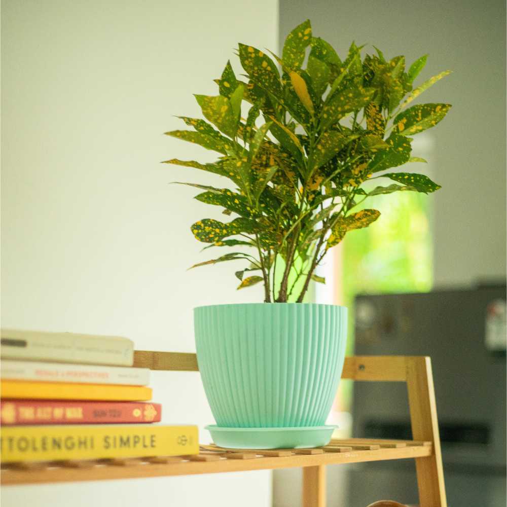 Fluted Dome Plastic Pot With Tray | Set Of 5 - Image 6