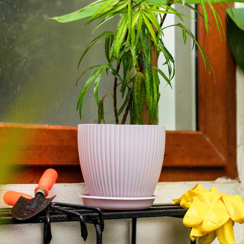Fluted Dome Plastic Pot With Tray | Set Of 5 - Image 9