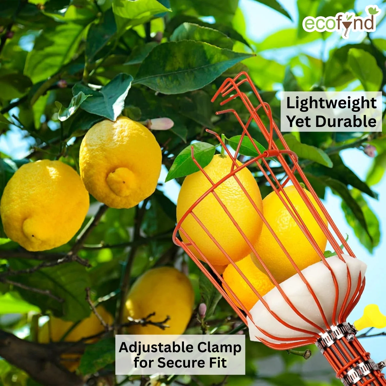 Fruit Picker Tool with Adjustable Pole Fixing Clamp - Image 3