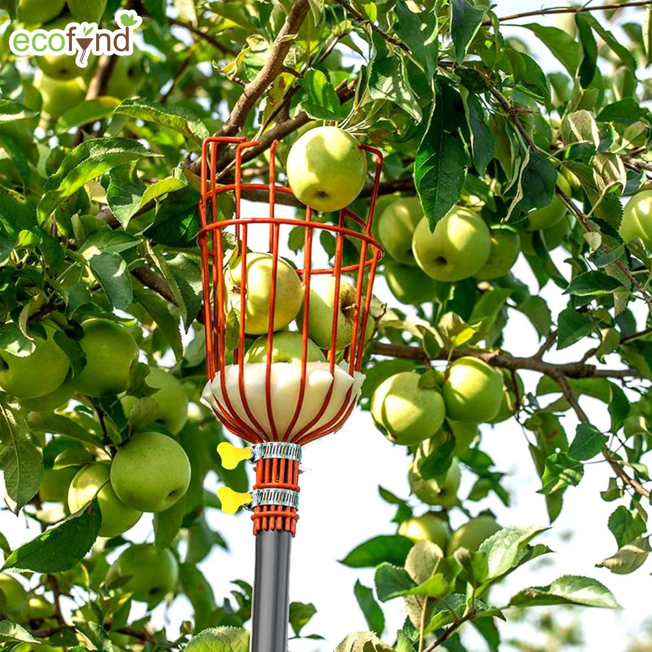 Fruit Picker Tool with Adjustable Pole Fixing Clamp - Image 4