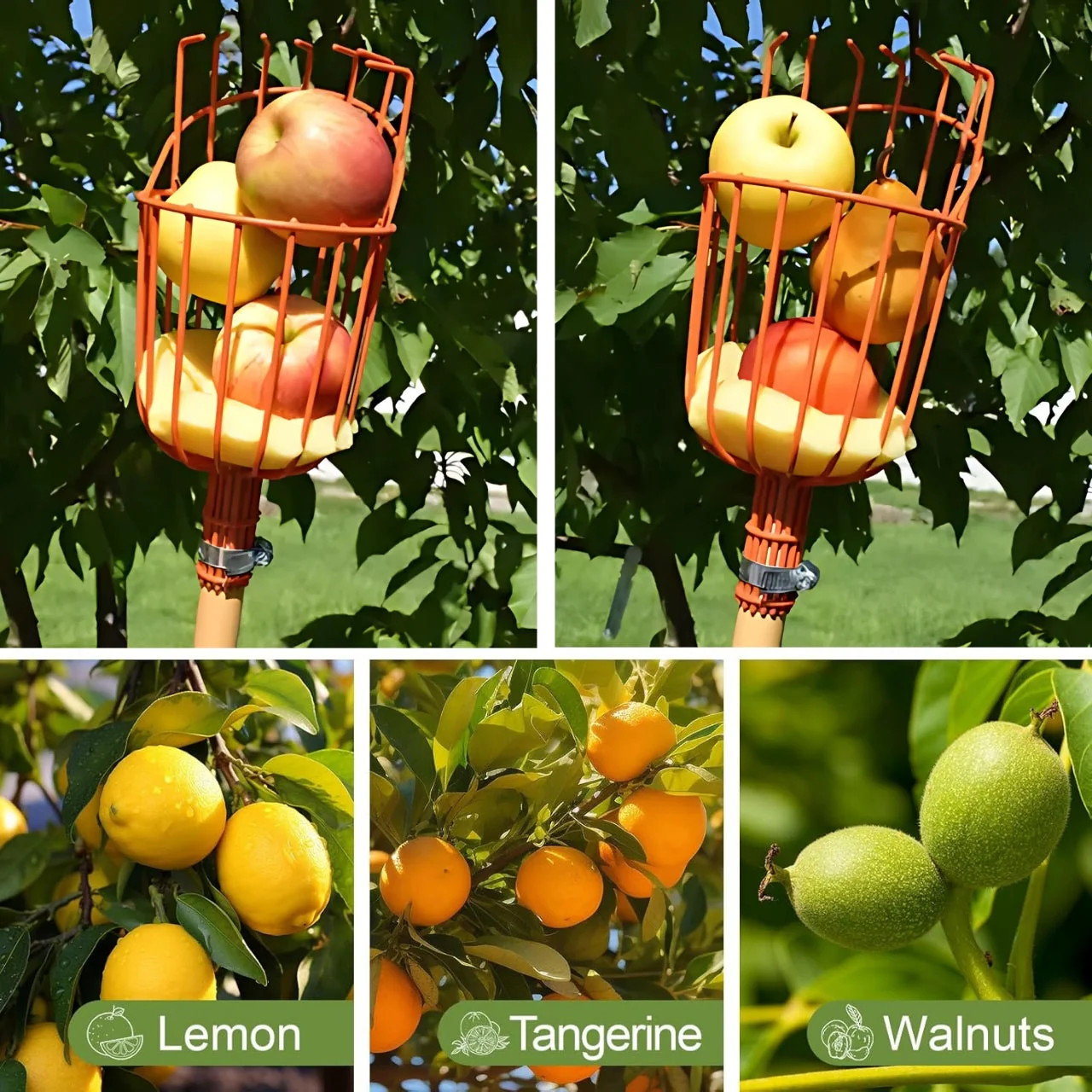 Fruit Picker Tool with Adjustable Pole Fixing Clamp - Image 6